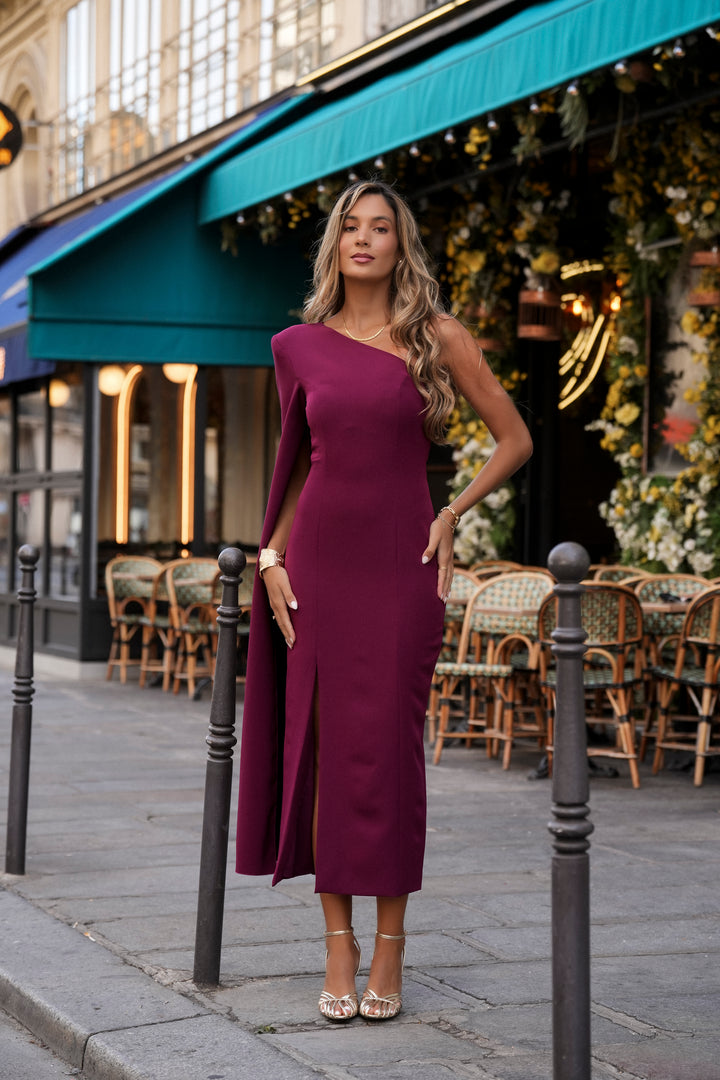 ROBERTA GARNET DRESS