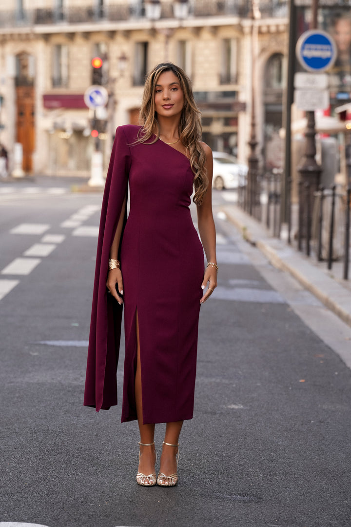 ROBERTA GARNET DRESS